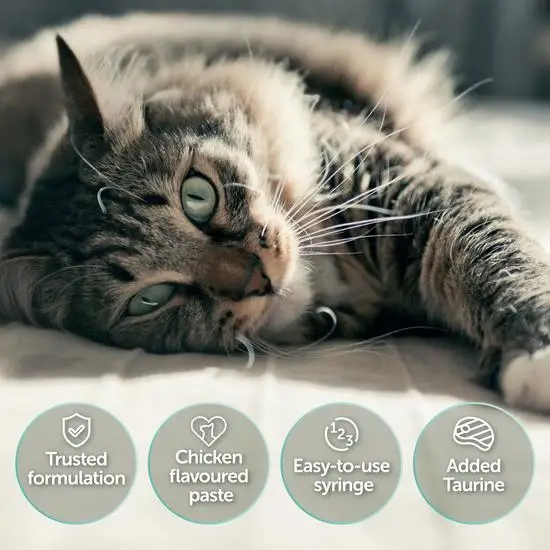 Cat lying down with protexin pro-kolin features highlighted on a white background