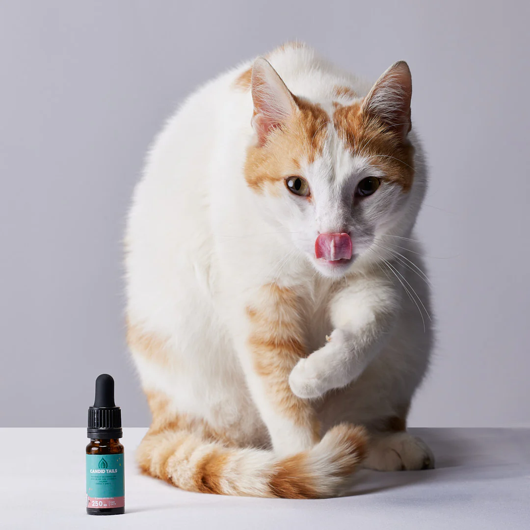 Candid Tails CBD Oil for Cats (250mg)