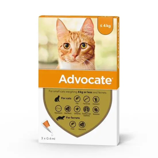Advocate cat <4kg dewormer packaging with a cat's face on a white background