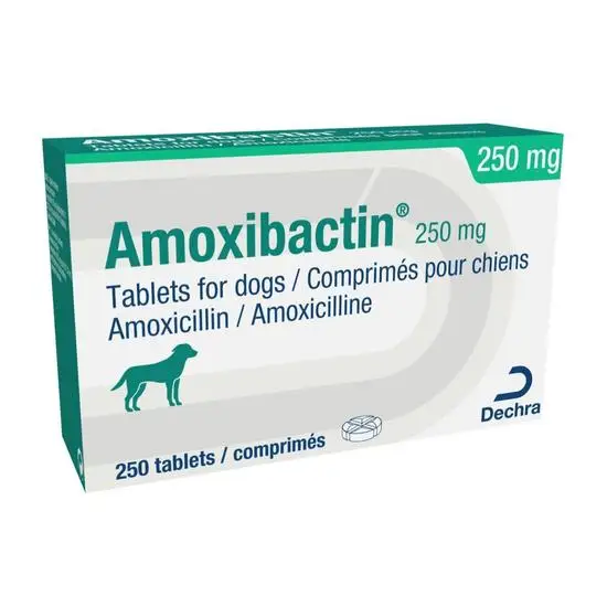 Amoxibactin Tablets for Dogs and Cats