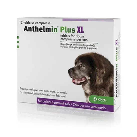 Box of Anthelmin Plus XL tablets for large dogs with a dog image on the packaging.