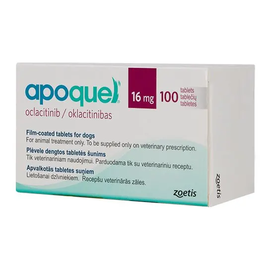 Box of Apoquel tablets for dogs with 16 mg and 100 tablets on a white background