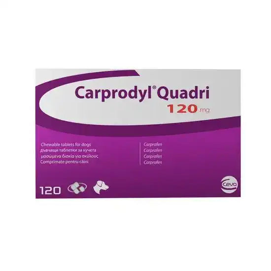 Carprodyl Quadri Tablets for Dogs
