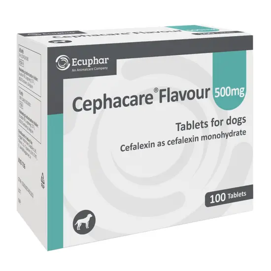 Box of Cephacare Flavour 500mg tablets for dogs by Ecuphar on a white background