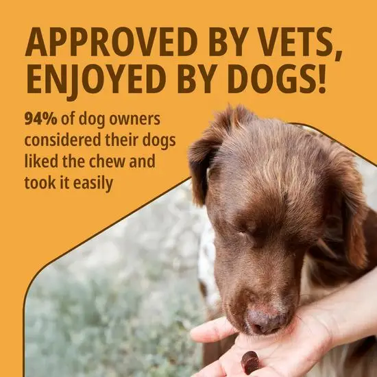 Movoflex Joint and Mobility Support Chews for Dogs