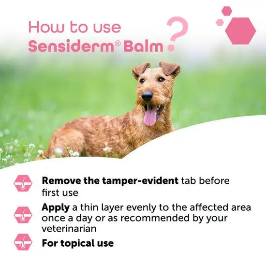 Dog with Sensiderm Balm instructions on a grassy background