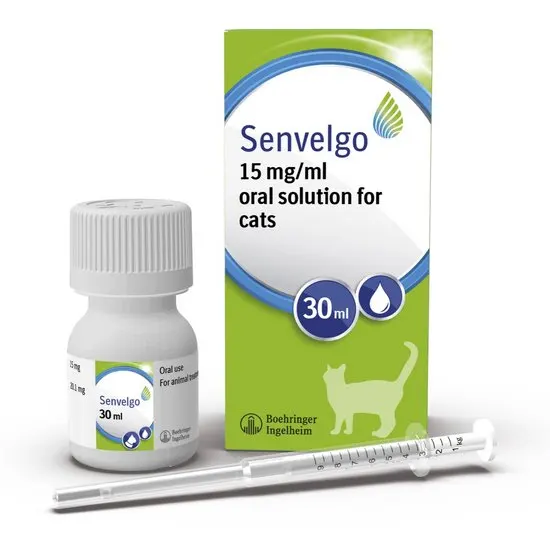 Savelgo 15 mg/ml oral solution for cats packaging with bottle and syringe on a white background