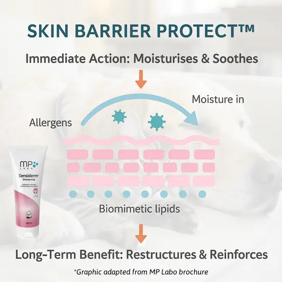Diagram of skin barrier protection with a tube of Sensiderm cream on a light background