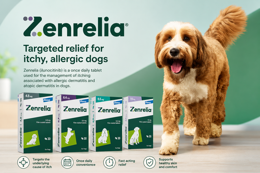 Zenrelia for Dogs: What It Is, How It Works and Allergic Skin Disease in Dogs