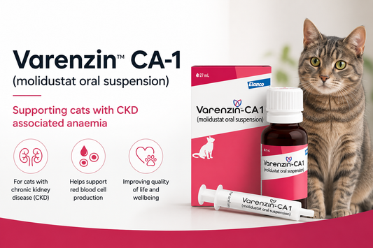 Understanding Varenzin CA-1 for Cats with Chronic Kidney Disease