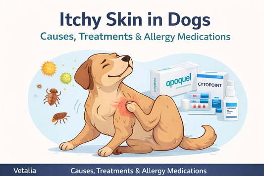 Itchy Skin in Dogs