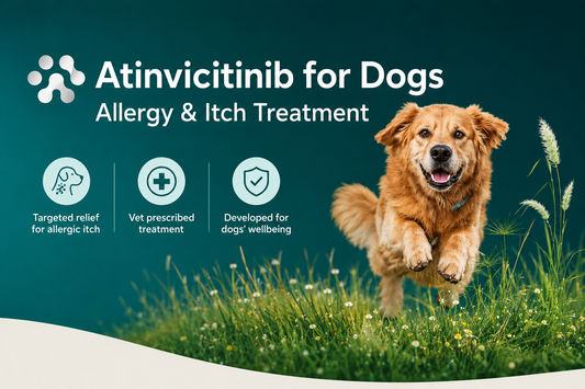 Atinvicitinib for Dogs