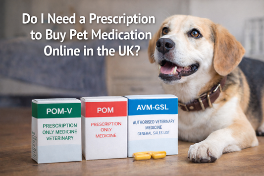 Do I Need a Prescription to Buy Pet Medication Online in the UK?