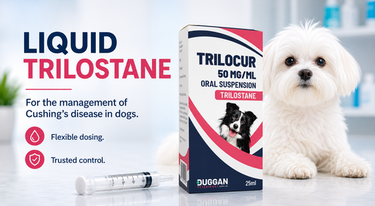 Liquid Trilostane for Dogs: What Owners Need to Know