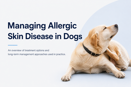 Managing Allergic Skin Disease in Dogs
