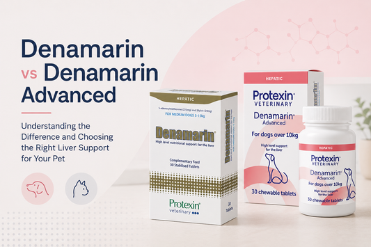 Understanding Denamarin and Denamarin Advanced for Dogs and Cats