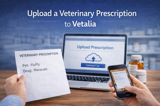 How to Upload a Veterinary Prescription Online
