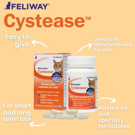 Feliway Cystease product packaging with text on a beige background