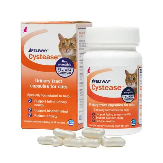 Feliway Cystease urinary tract capsules for cats with packaging on a white background