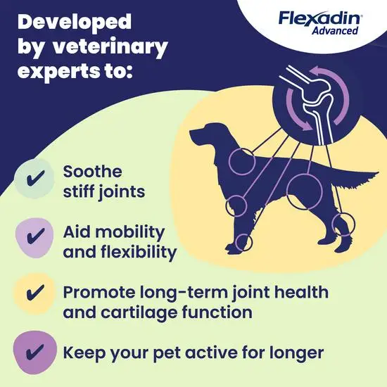 Flexadin Advanced product description with a dog silhouette and joint diagram on a blue and yellow background.