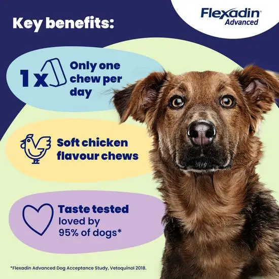Dog with Flexadin Advanced product benefits displayed on a blue and green background