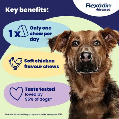Dog with Flexadin Advanced product benefits displayed on a blue and green background