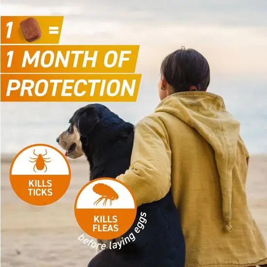 Person walking a dog with frontpro packaging and text about protection from ticks and fleas.