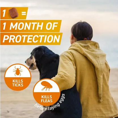 Person walking a dog with frontpro packaging and text about protection from ticks and fleas.