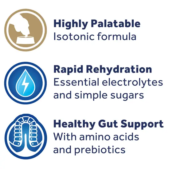Oralade features including highly palatable isotonic formula, rapid rehydration, and healthy gut support on a white background.