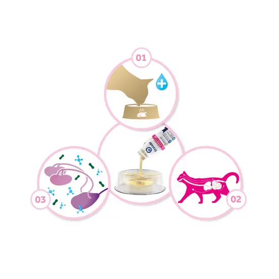 Step-by-step diagram showing oralade process on a white background.