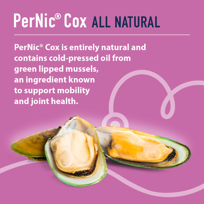 PerNic Cox product with green lipped mussels on a pink background