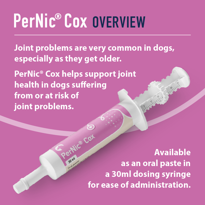 PerNic Cox oral paste for dogs on a pink background with text about joint health support.