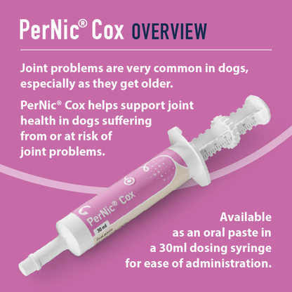 PerNic Cox oral paste for dogs on a pink background with text about joint health support.