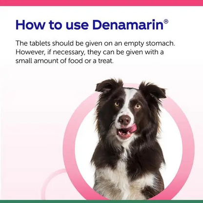 Dog with text on how to use Denamarin, a product for pets.