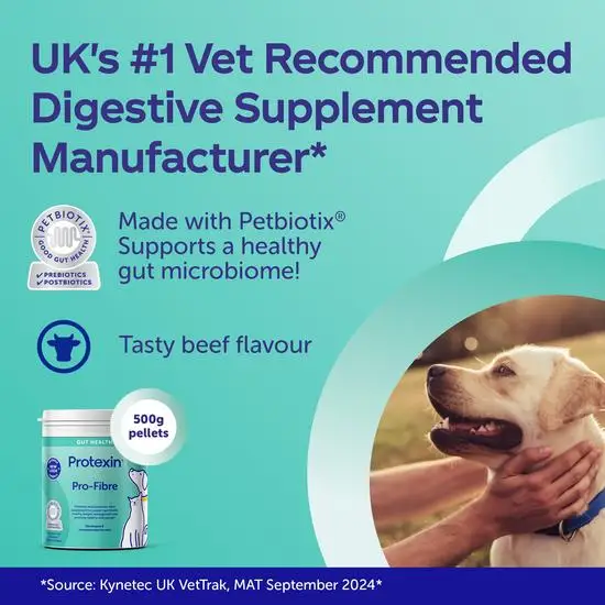 Advertisement for a digestive supplement for dogs with a dog being held, text about being a UK vet recommended manufacturer, and product packaging.