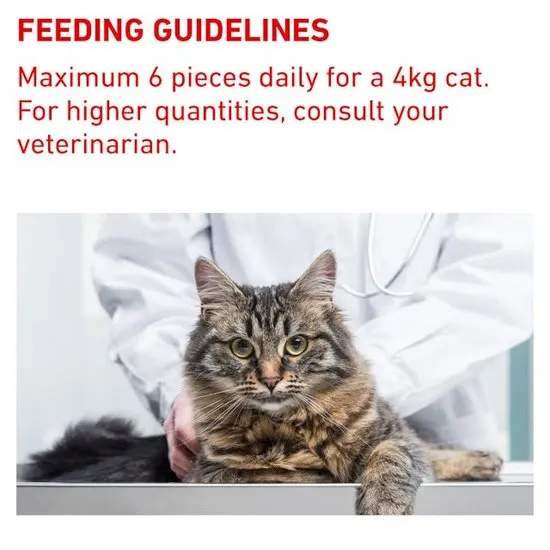 Cat being examined by a veterinarian with feeding guidelines text above