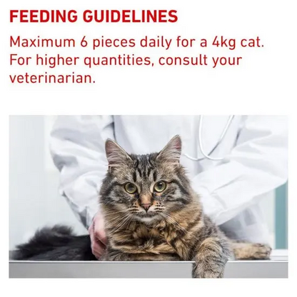 Cat being examined by a veterinarian with feeding guidelines text above