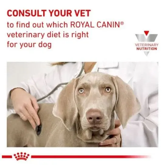 Advertisement for Royal Canin veterinary diet with a dog being examined by a vet.