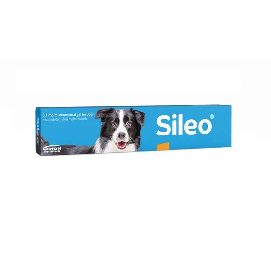 Selio dexmedetomidine oral gel for dogs 0.1 mg/ml