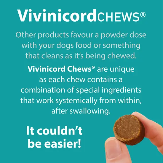 Vivinicord Chews product advertisement with a hand holding a chew and text on a teal background