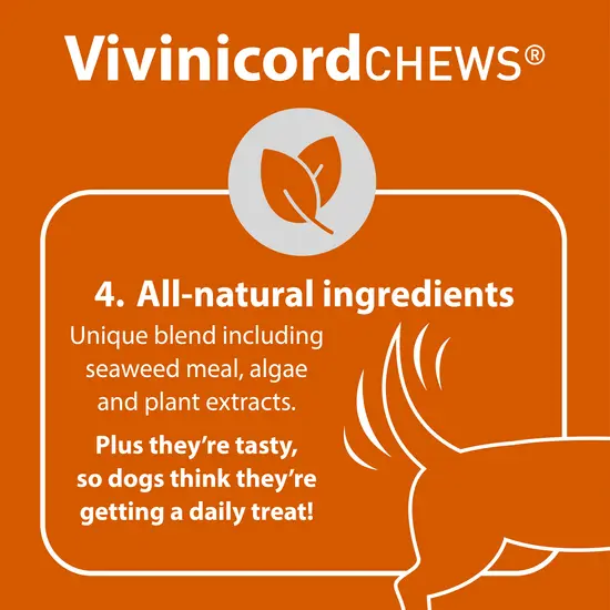 Vivinicord CHEWS product description on an orange background with a leaf logo.