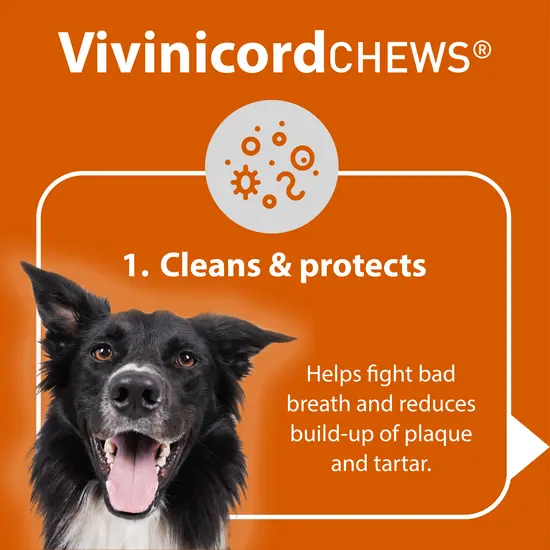 Vivinicord CHEWS product advertisement with a dog on an orange background