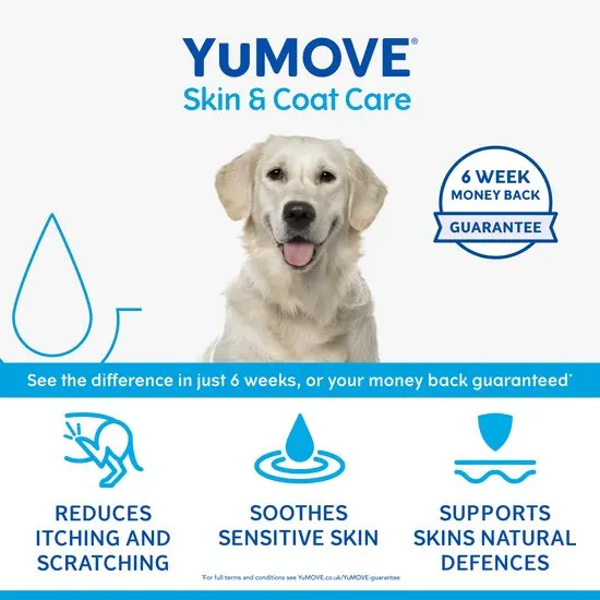 YUMOVE Skin & Coat Care product with a dog and key benefits on a white background