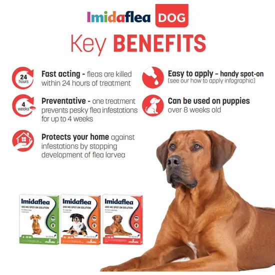 Advertisement for ImidaFlea dog product with key benefits listed and a dog on a white background.