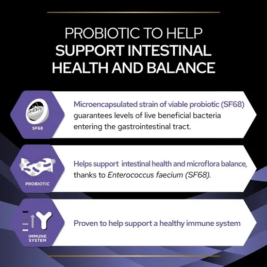 Promotional graphic for a probiotic product highlighting its benefits on intestinal health and immune system.