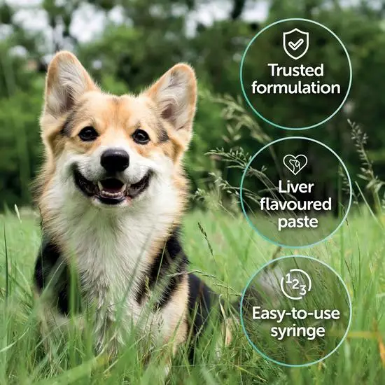 Dog in a grassy field with product features highlighted protexin prokolin