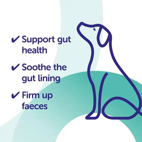 Dog illustration with text on a blue and green background