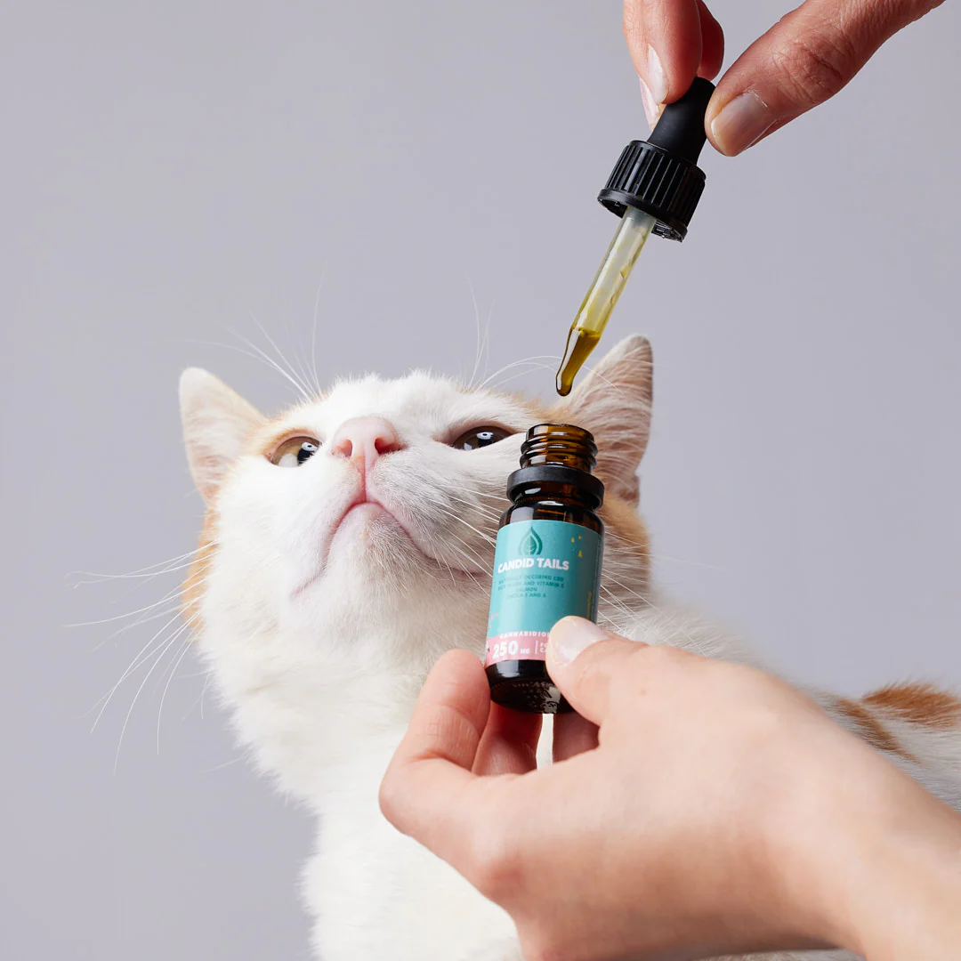 Candid Tails CBD Oil for Cats (250mg)