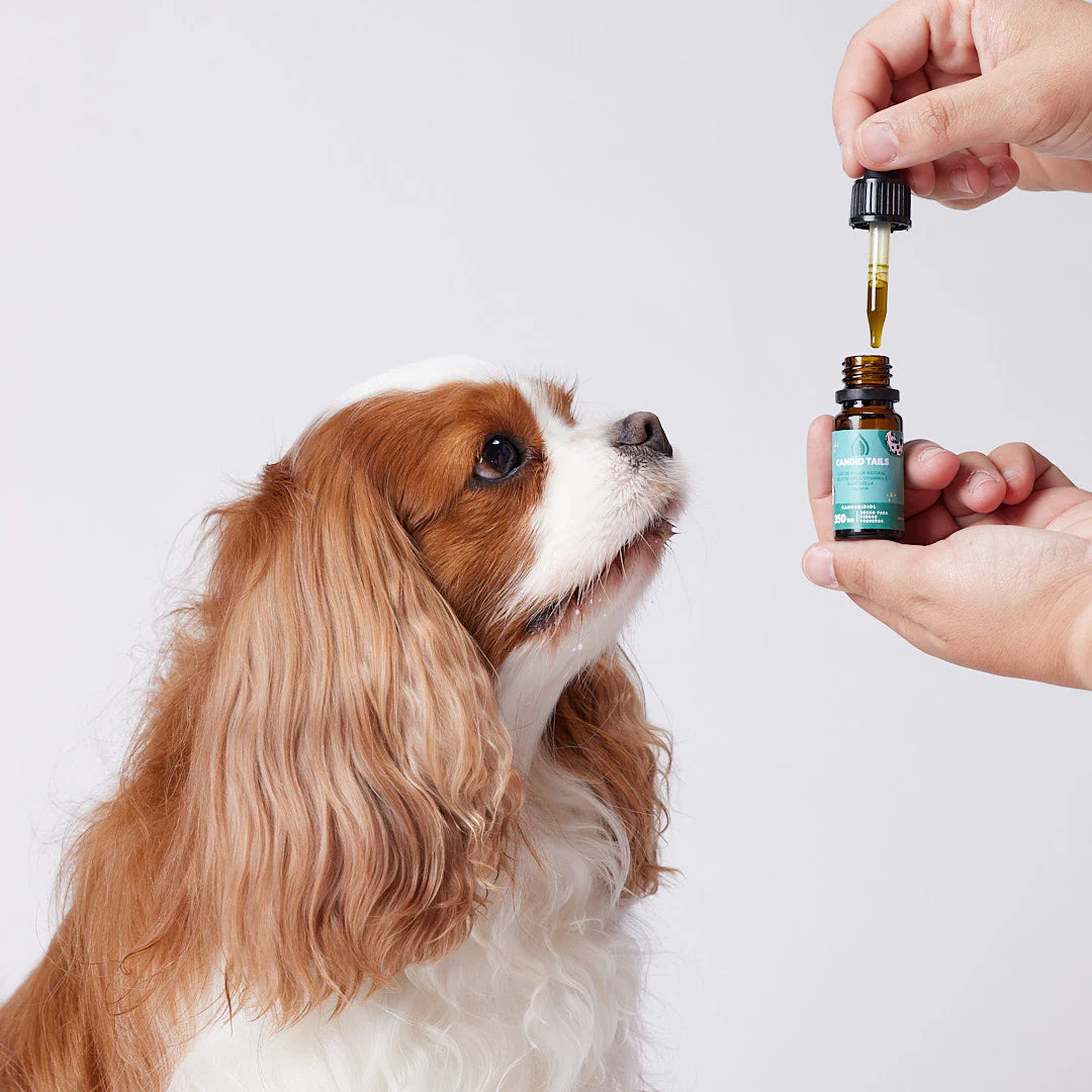 Candid Tails Hemp Oil with Natural CBD for Dogs