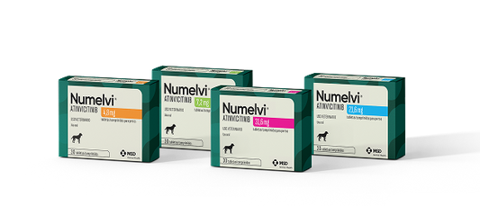 Numelvi Tablets for Dogs